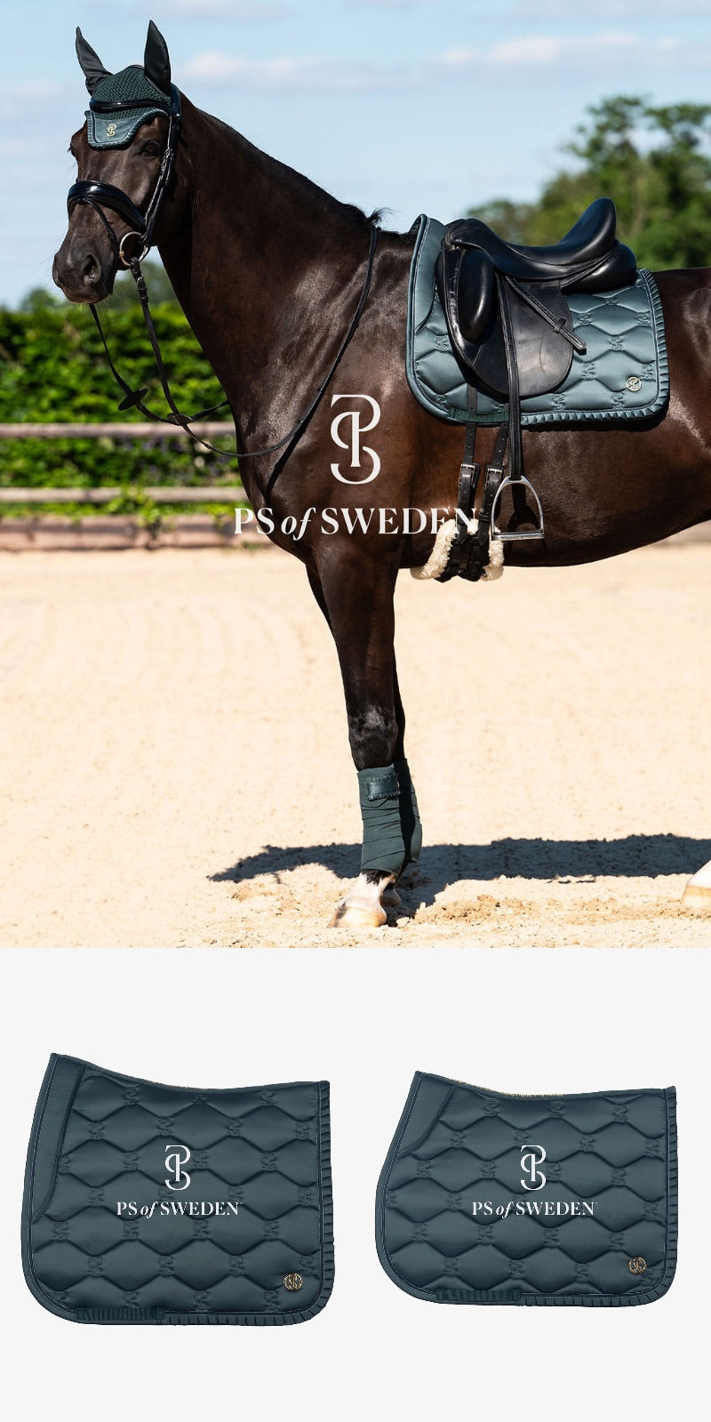 乗馬用ゼッケン ミッドナイトグリーン 障害/馬場 クイックドライ素材