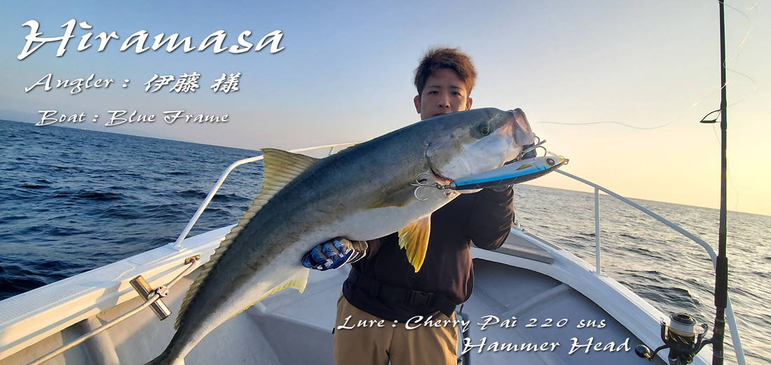 ハンマーヘッド チェリーパイ 250 sus HAMMER HEAD(ハンマーヘッド