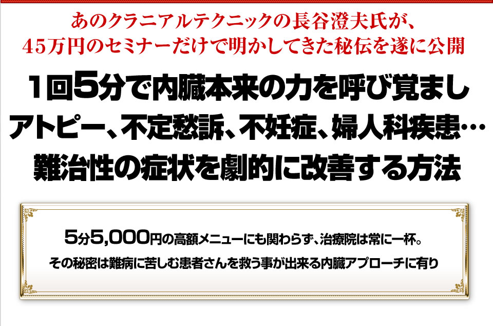 長谷澄夫の「内臓テクニック」