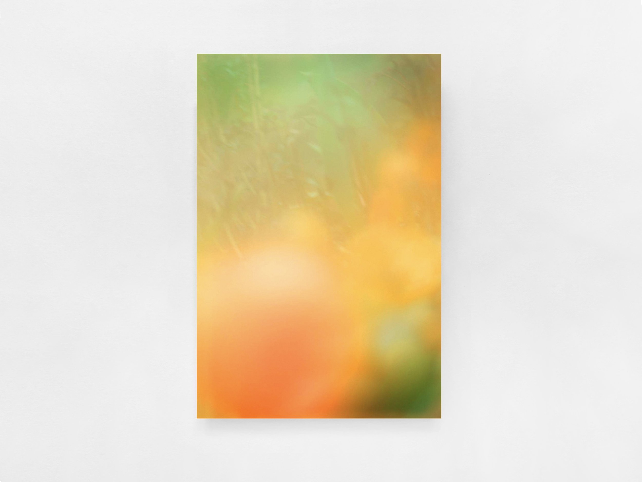 アート・デザイン・音楽 The Autumns of Spring - Jordan Sullivan The