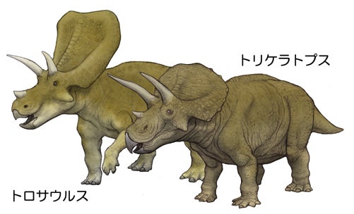トロサウルスはトリケラトプスだった！ | 川崎悟司 オフィシャルブログ