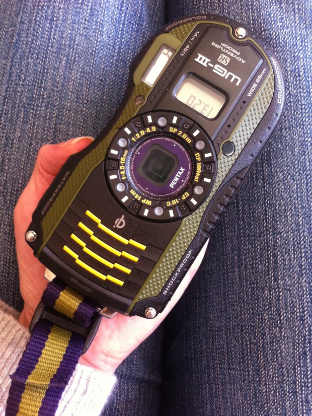 Review: Pentax WG-3 GPS — Photocritic Photo School