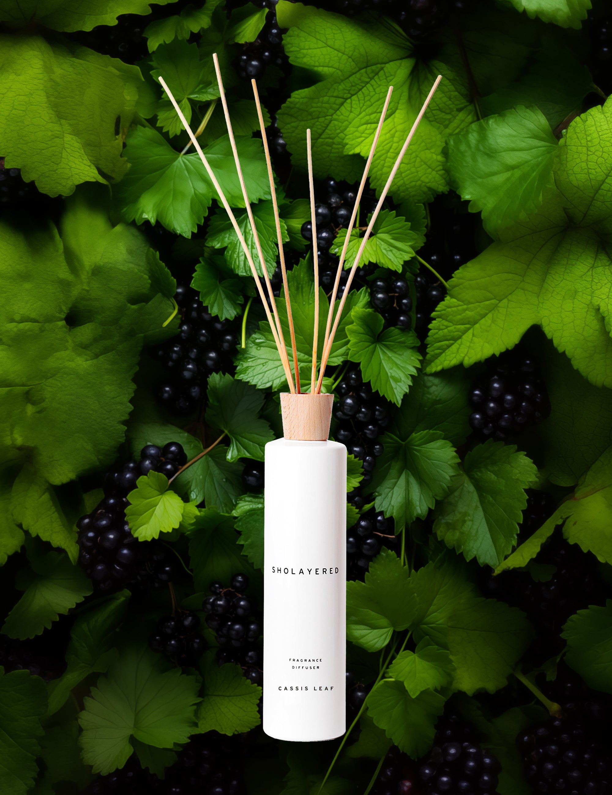ディフューザー｜カシスリーフ｜500ml【送料無料】 – SHOLAYERED