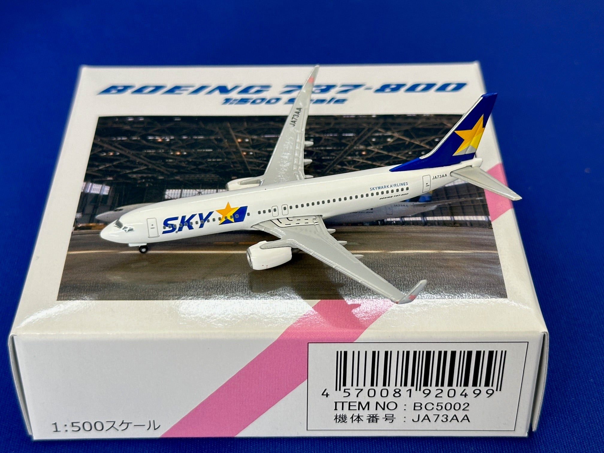クロスウイング B737-800w スカイマーク SKYMARK AIRLINES JA73AA