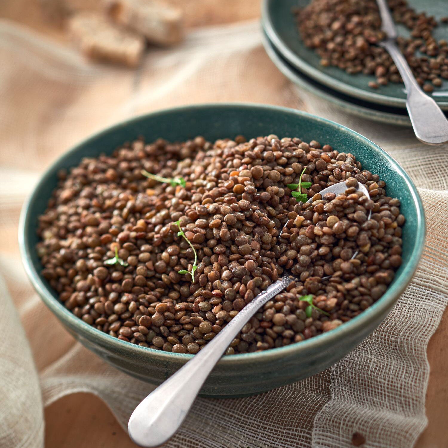 87530.jpg?v=1702885510