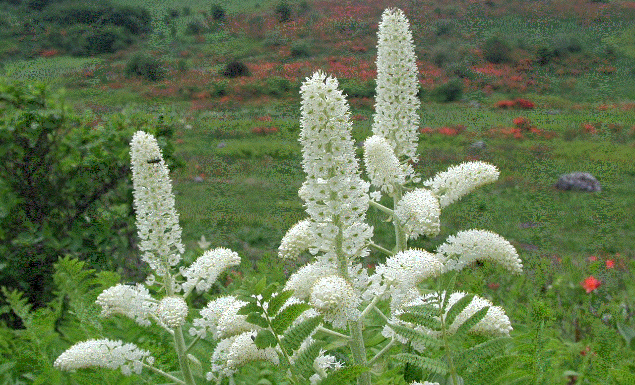 学校法人会計・山口善久－学校法人会計基準による学校会計