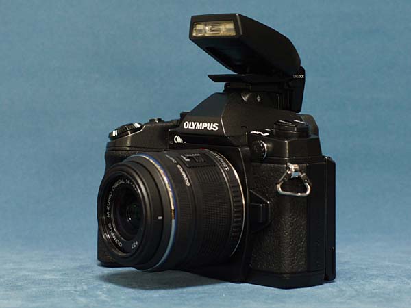 オリンパス OLYMPUS OM-D E-M1の徹底レビュー ミラーレスカメラ /monox