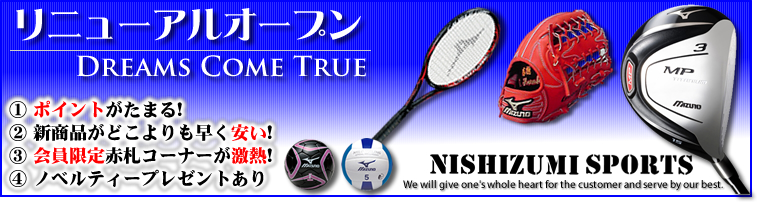 ミズノ・ミズノプロ プロモデルシリーズ イバタモデル MIZUNO PRO 井端
