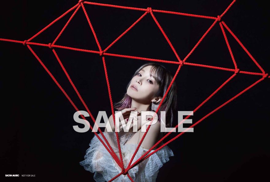 12/12（水）リリース「赤い罠(who loves it?) / ADAMAS」CD店舗特典の