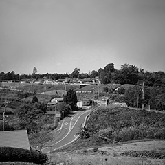 森は生きている『グッド・ナイト』のアナログ盤におけるまさかの展開