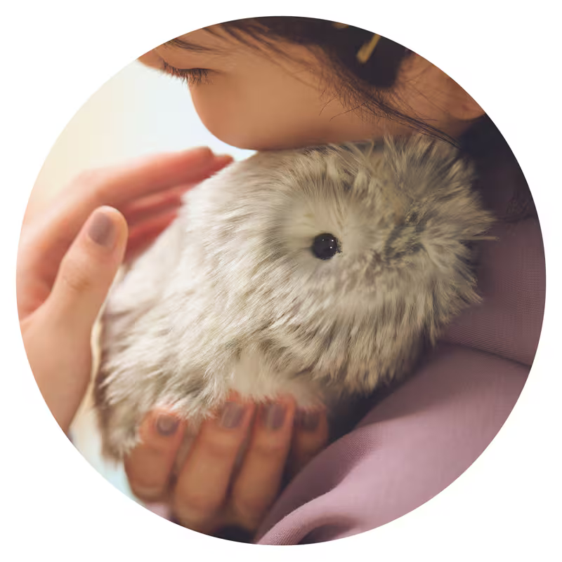 レンタル] カシオ CASIO Moflin モフリン AIペットロボット ゴールド