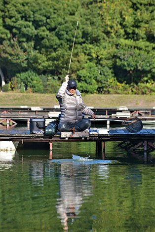 ヘラ V(ロッド)｜DAIWA