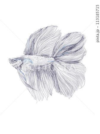 ベタ_モノクロのイラスト素材 [113185715] - PIXTA