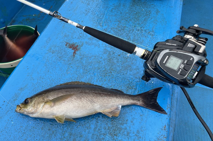 インプレ】万能船竿！「シマノ ライトゲーム リミテッド モデラート