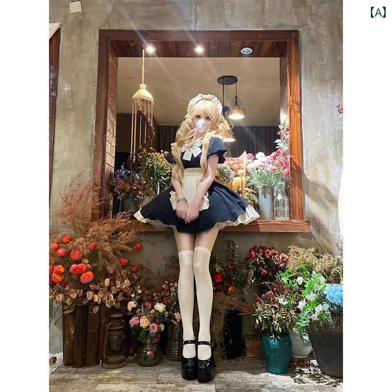 楽天市場】バニーガール 逆（サイズ（S/M/L）L）の通販