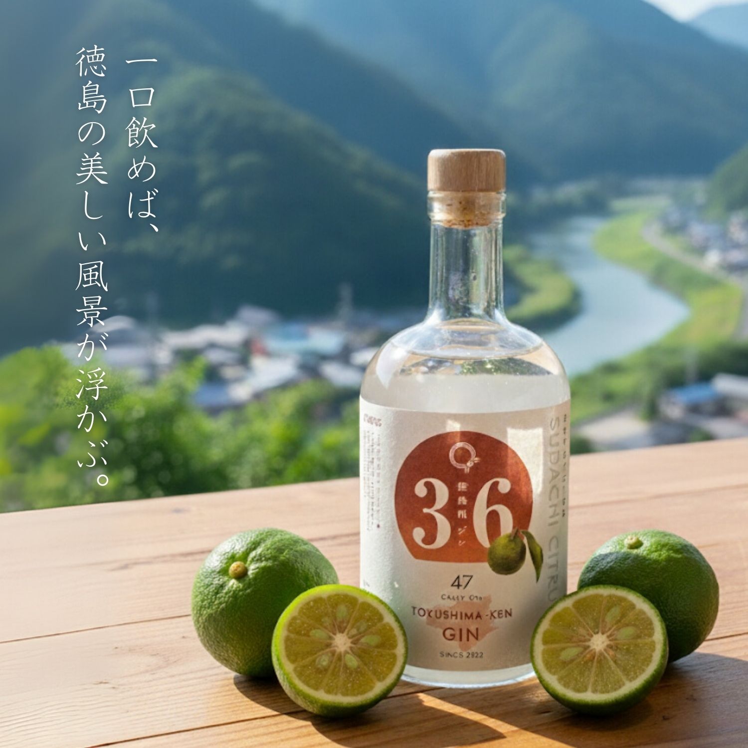 楽天市場】徳島県ジン すだち ボタニカル クラフトジン 500ml×1本 ご