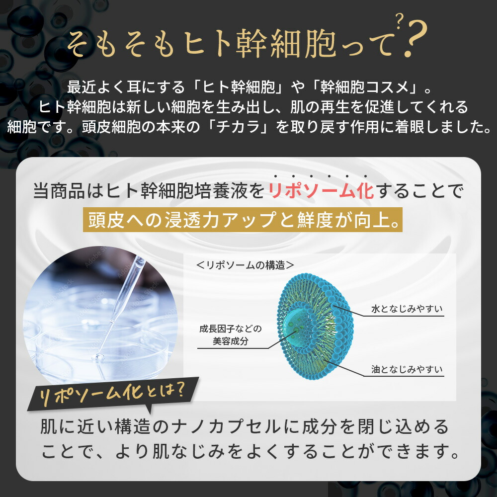 楽天市場】[楽天1位]ヒト幹細胞スカルプケアトリートメント 頭皮用化粧