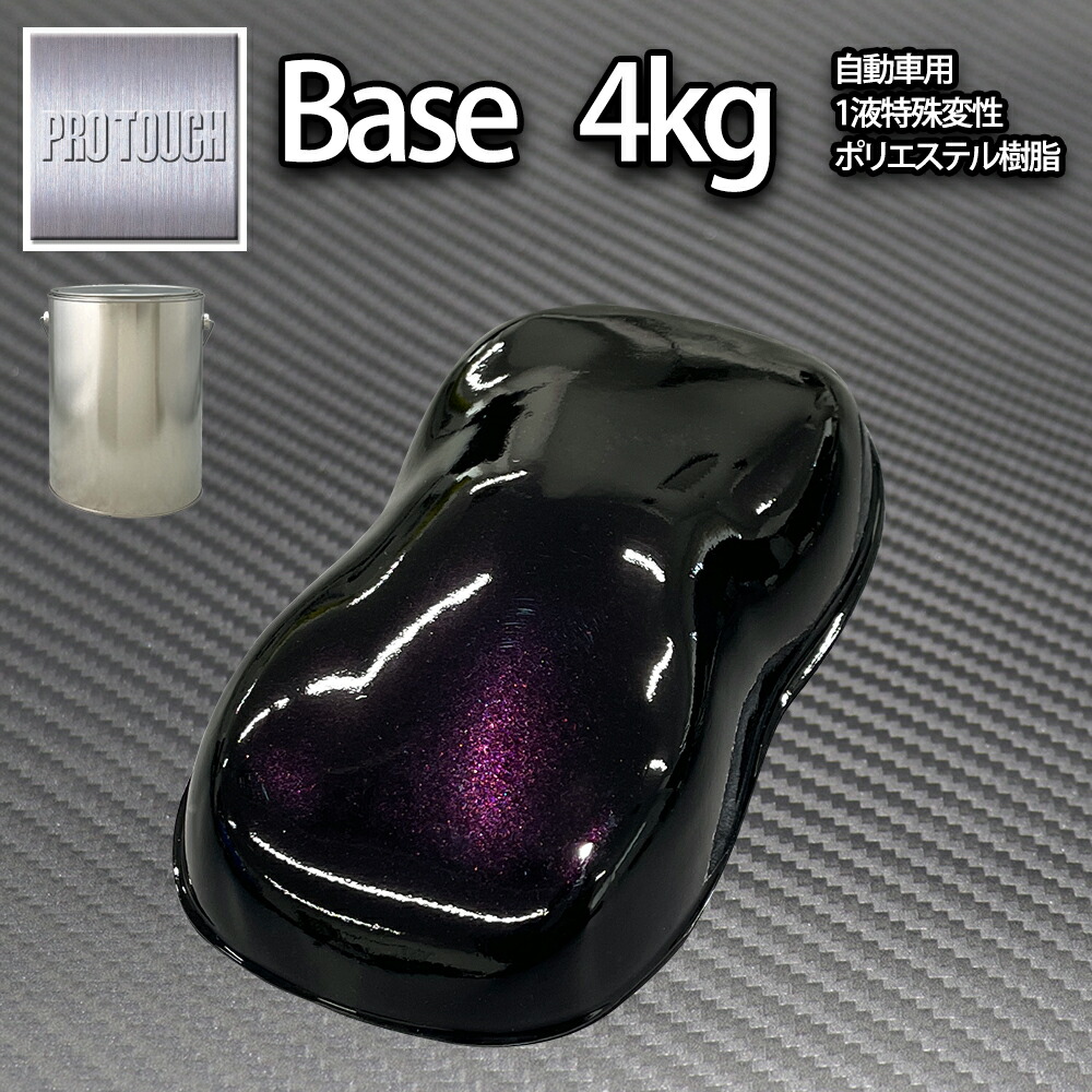 楽天市場】送料無料! ロック プロタッチ ブラックマイカパープルパール