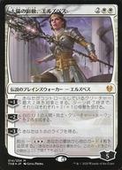 楽天市場】太陽 エルズペス foilの通販