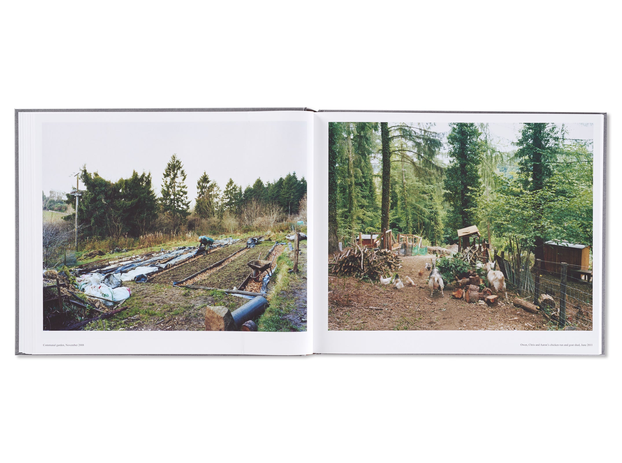 SETTLEMENTS by David Spero – twelvebooks