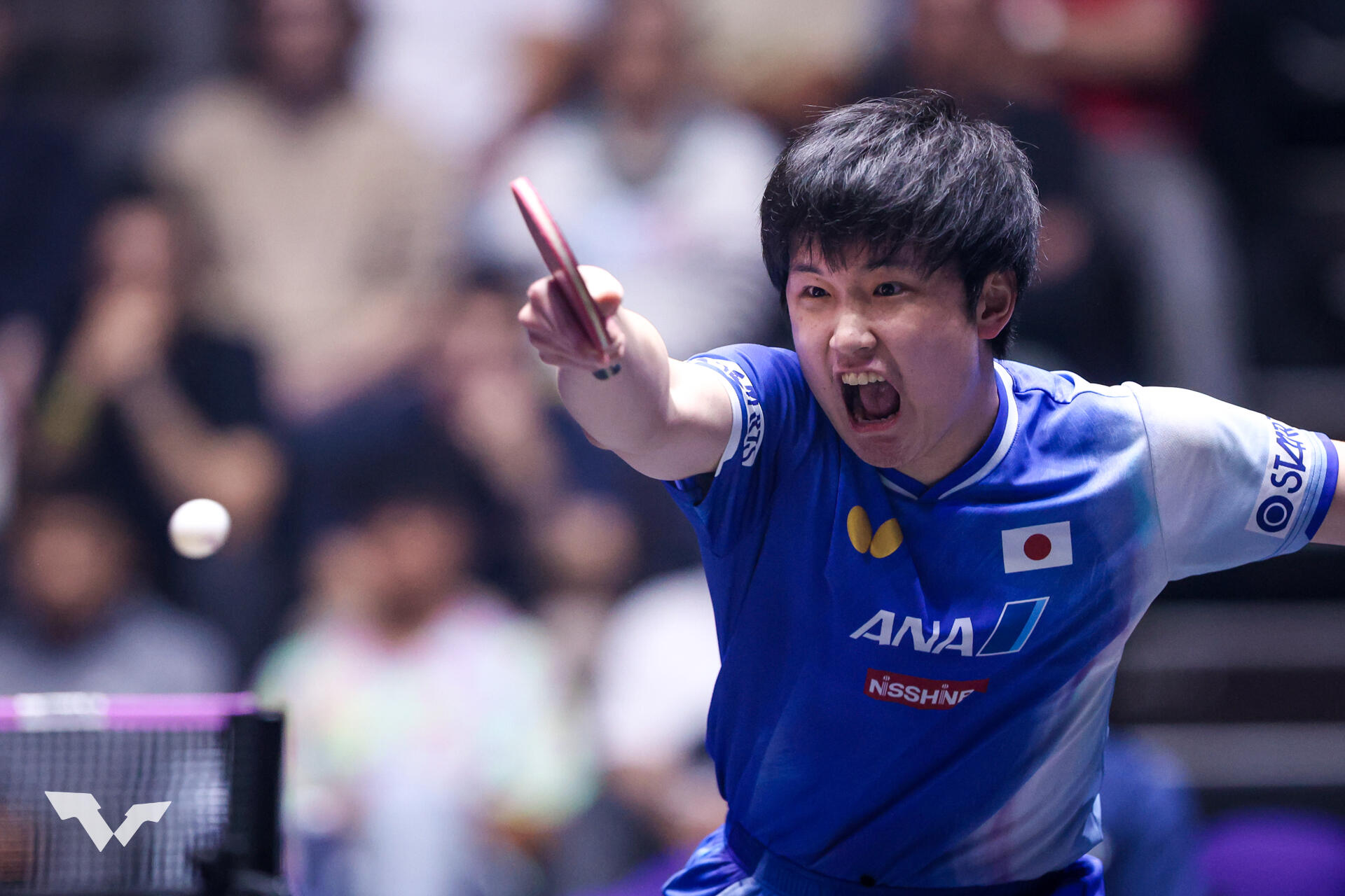 張本智和 16強でストップ。5連勝中の五輪メダリストに打ち負ける【卓球