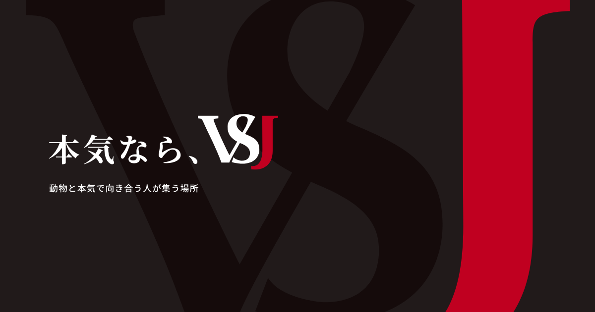 メンバー紹介｜VSJ