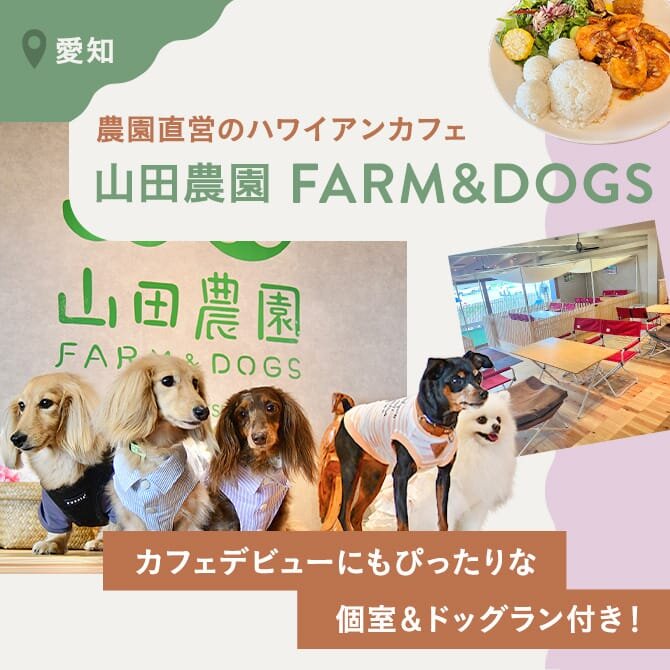 山田農園FARM&DOGS】愛知県岡崎市のドッグカフェ｜ワンコnowa