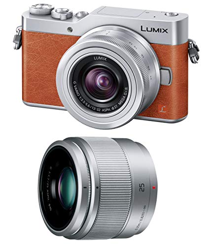 Panasonic MirrorLess Digital Camera LUMIX GF9 Double Zoom Lens Kit