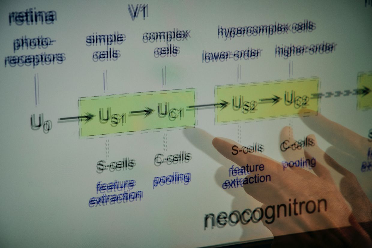 人間の脳のメカニズムを、わたしは知りたくてたまらない。──福島邦彦
