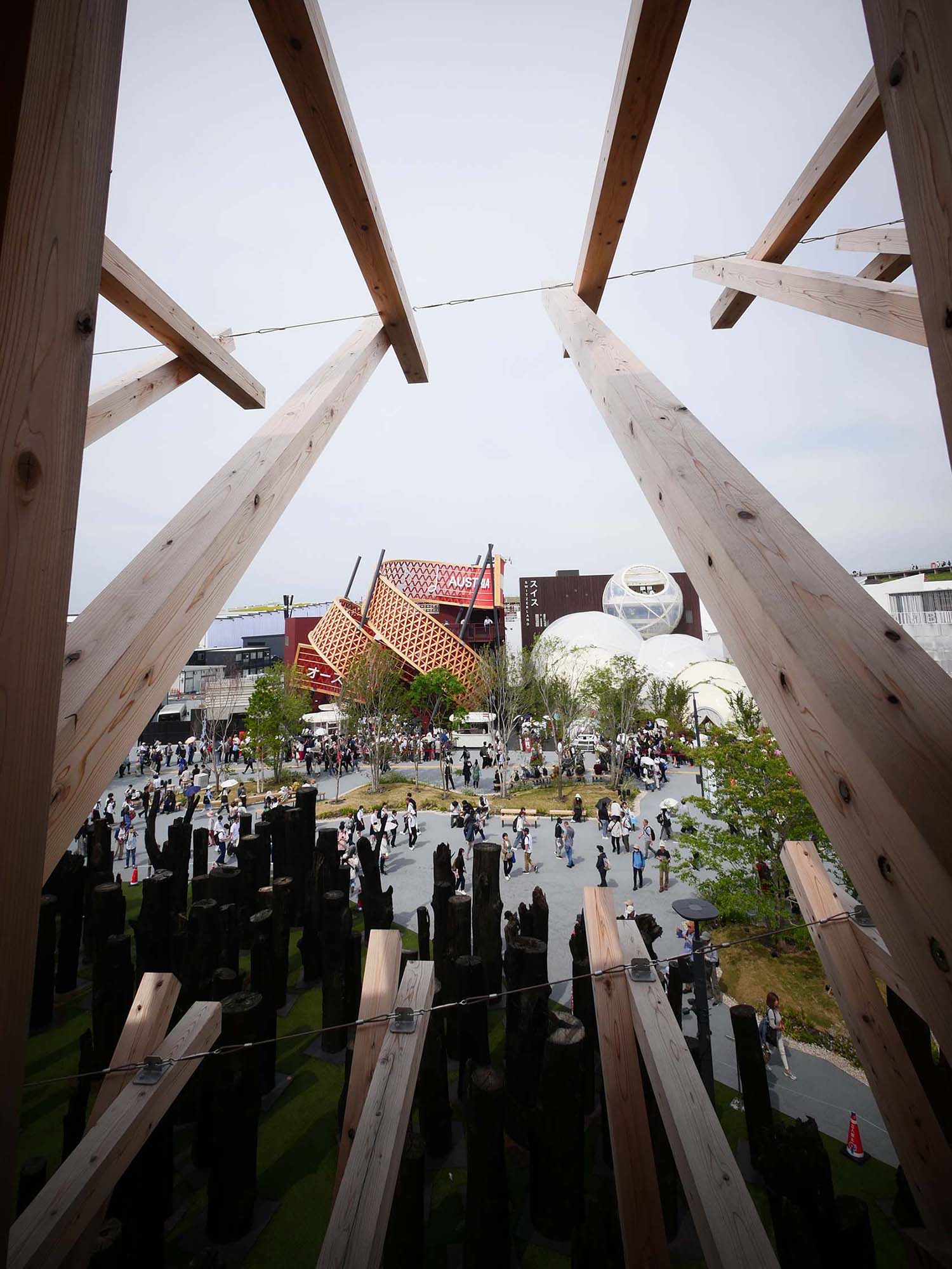 文明の森|2025年大阪・関西万博|日本万国博覧会と木のかかわり|12.木の