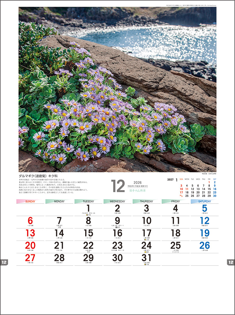 日本の山野草 | 名入れカレンダー2026年 創業昭和29年の信用と実績の