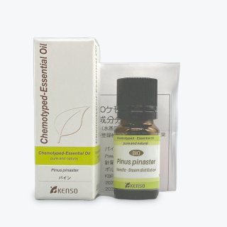 パイン｜プラナロム精油｜ONLINE SHOP カモミール｜小田急線豪徳寺