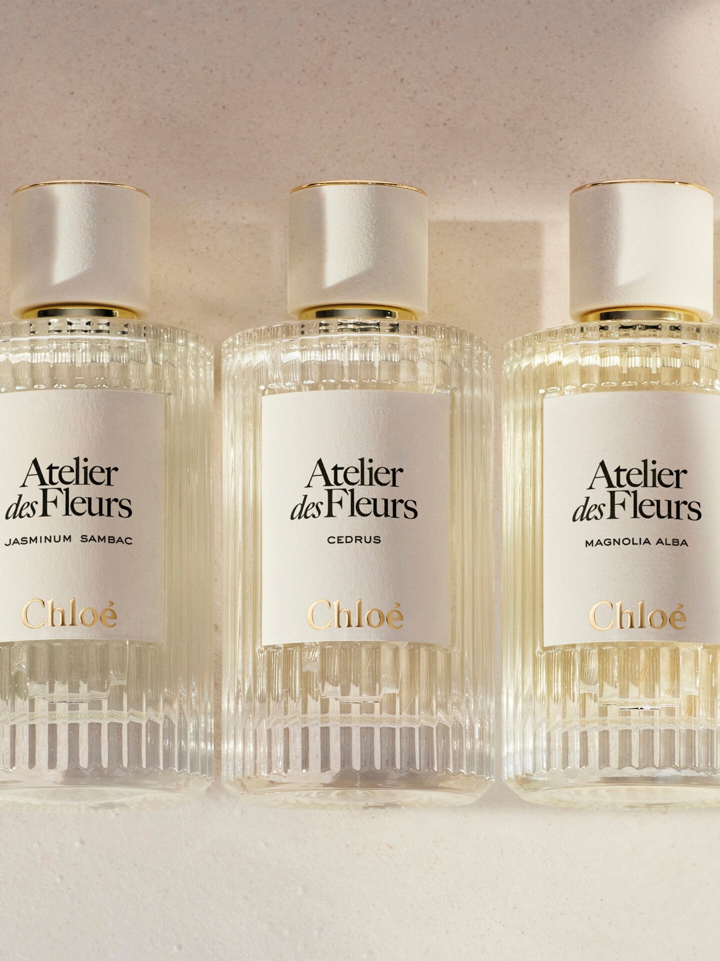 Atelier des Fleurs Cedrus Eau de Parfum 5.1 fl oz - Chloé