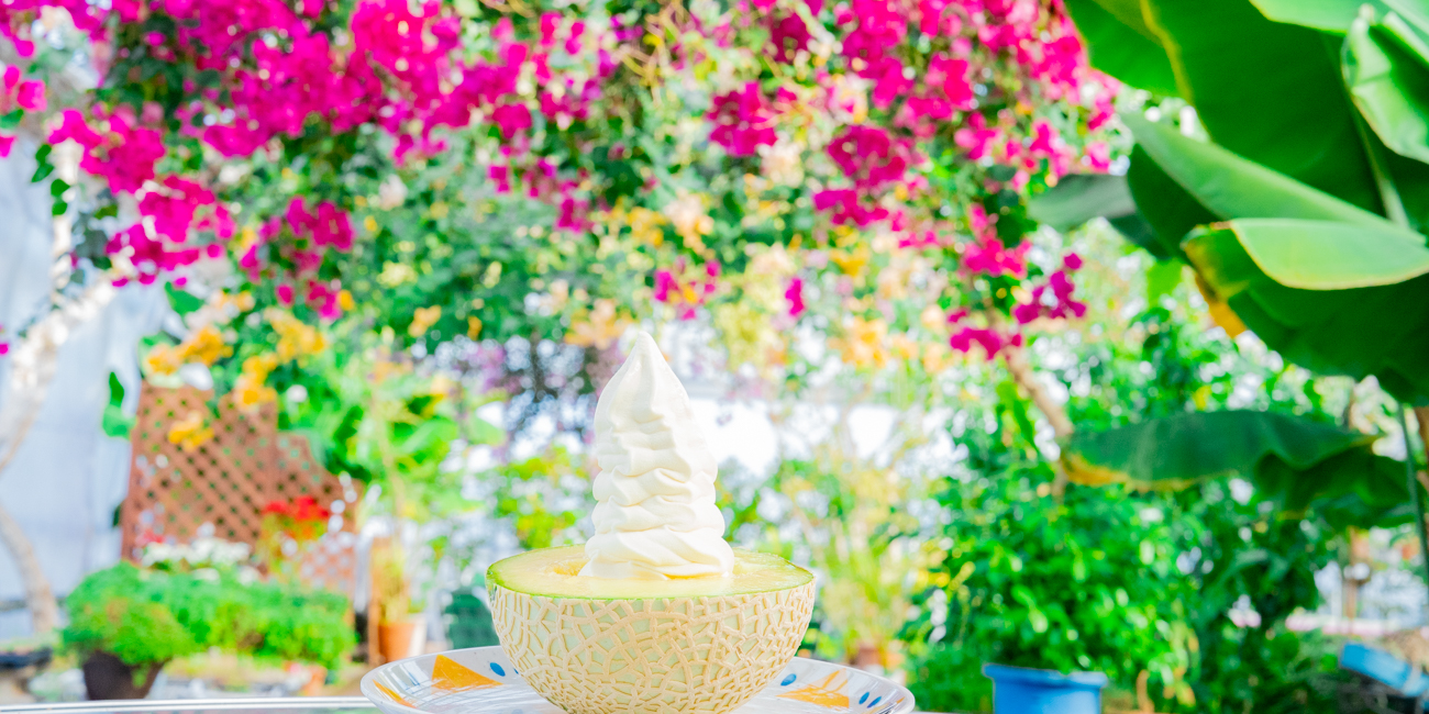 南国市公式ホームページ