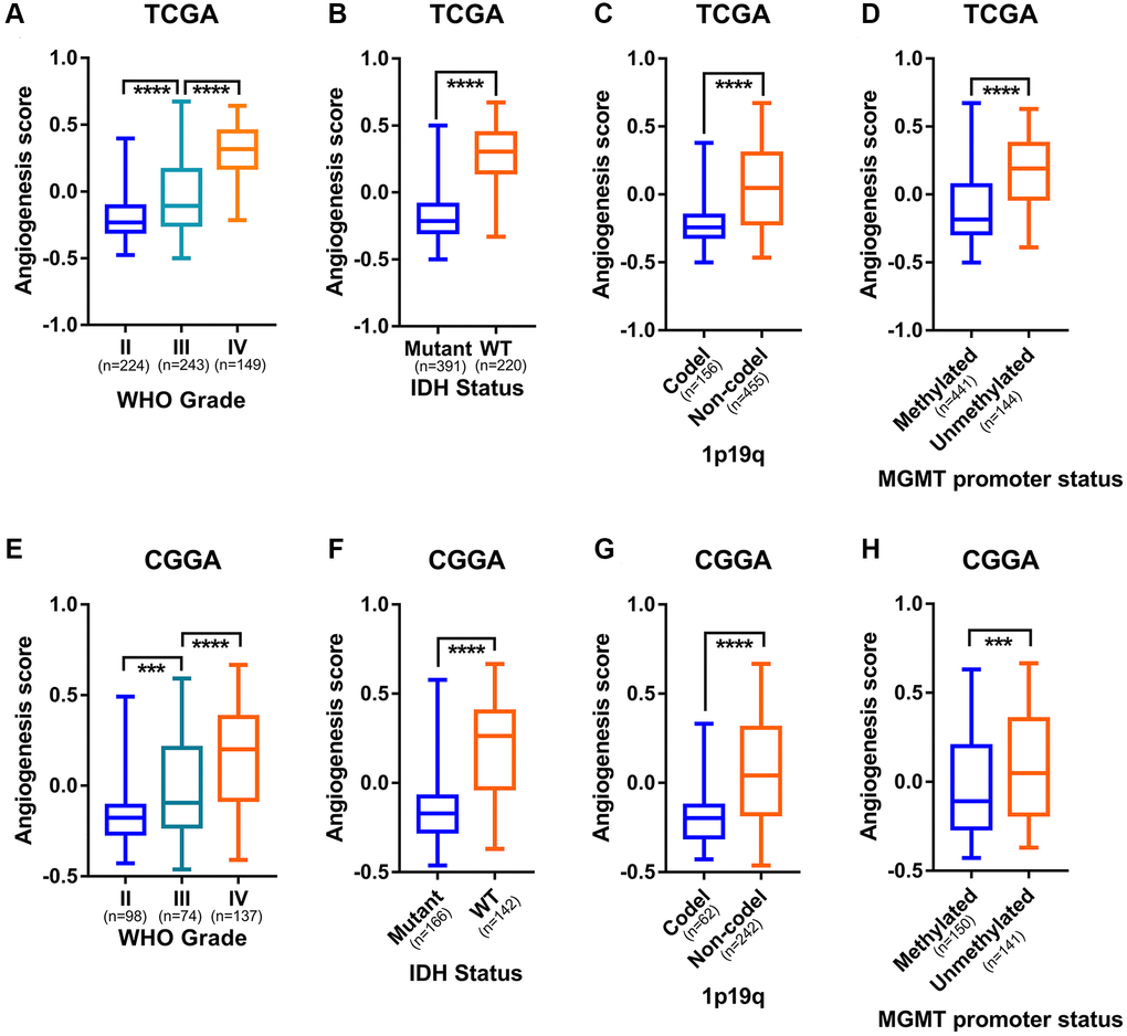 Intra-tumoral angiogenesis correlates with immune features and