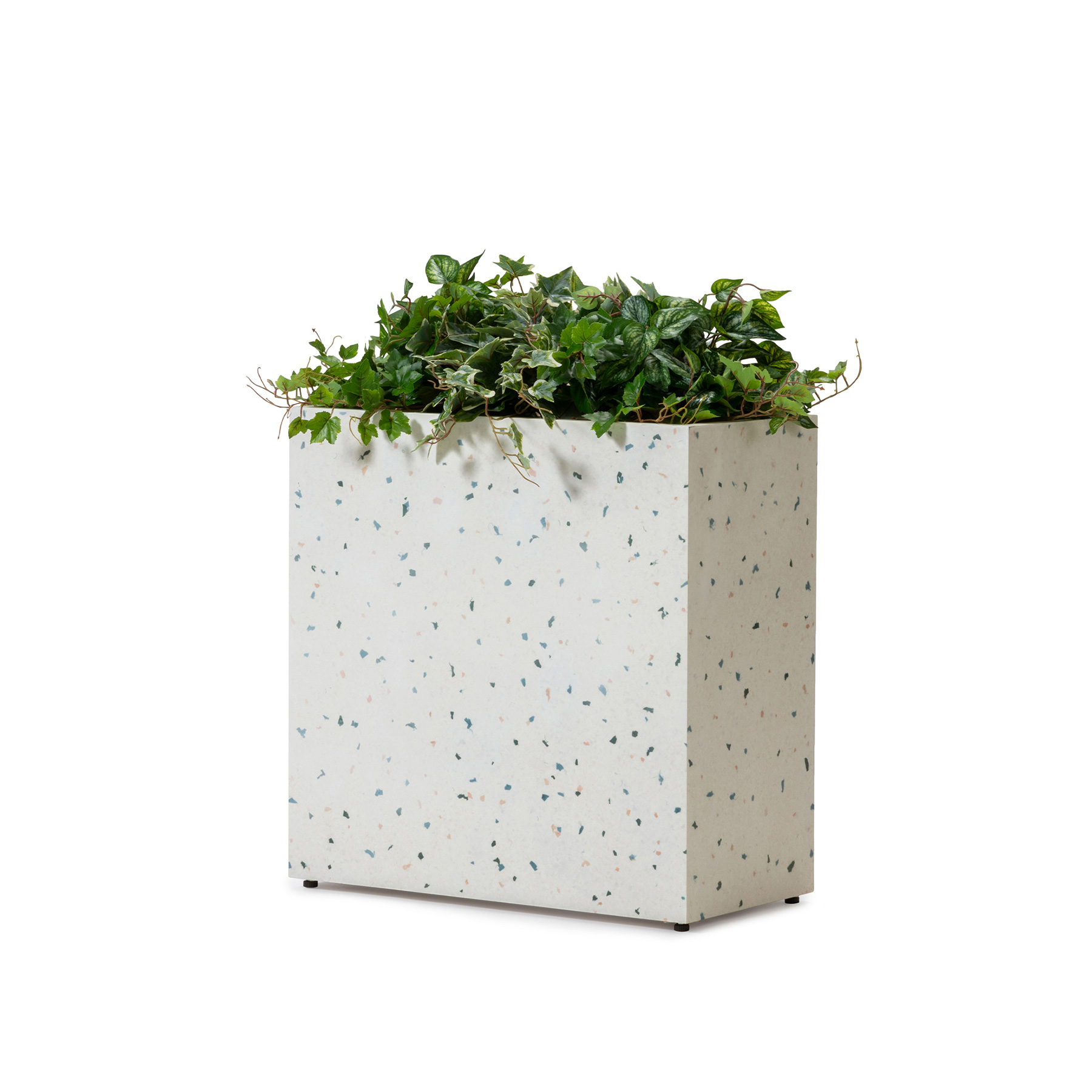 FIZZ RECT PLANTCOVER WITH HEDERA - 【ASPLUND CONTRACT
