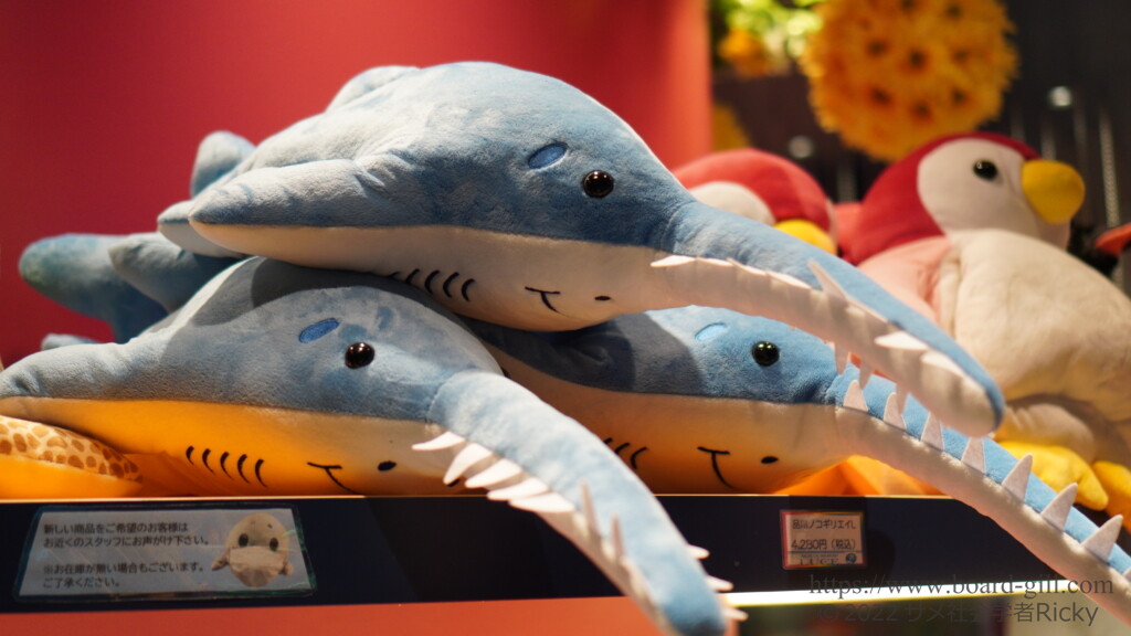 世界でここだけ？マクセルアクアパーク品川にいるノコギリエイを徹底