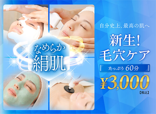 エステメニュー一覧｜エステサロン GINZA BLV(ギンザブルー)