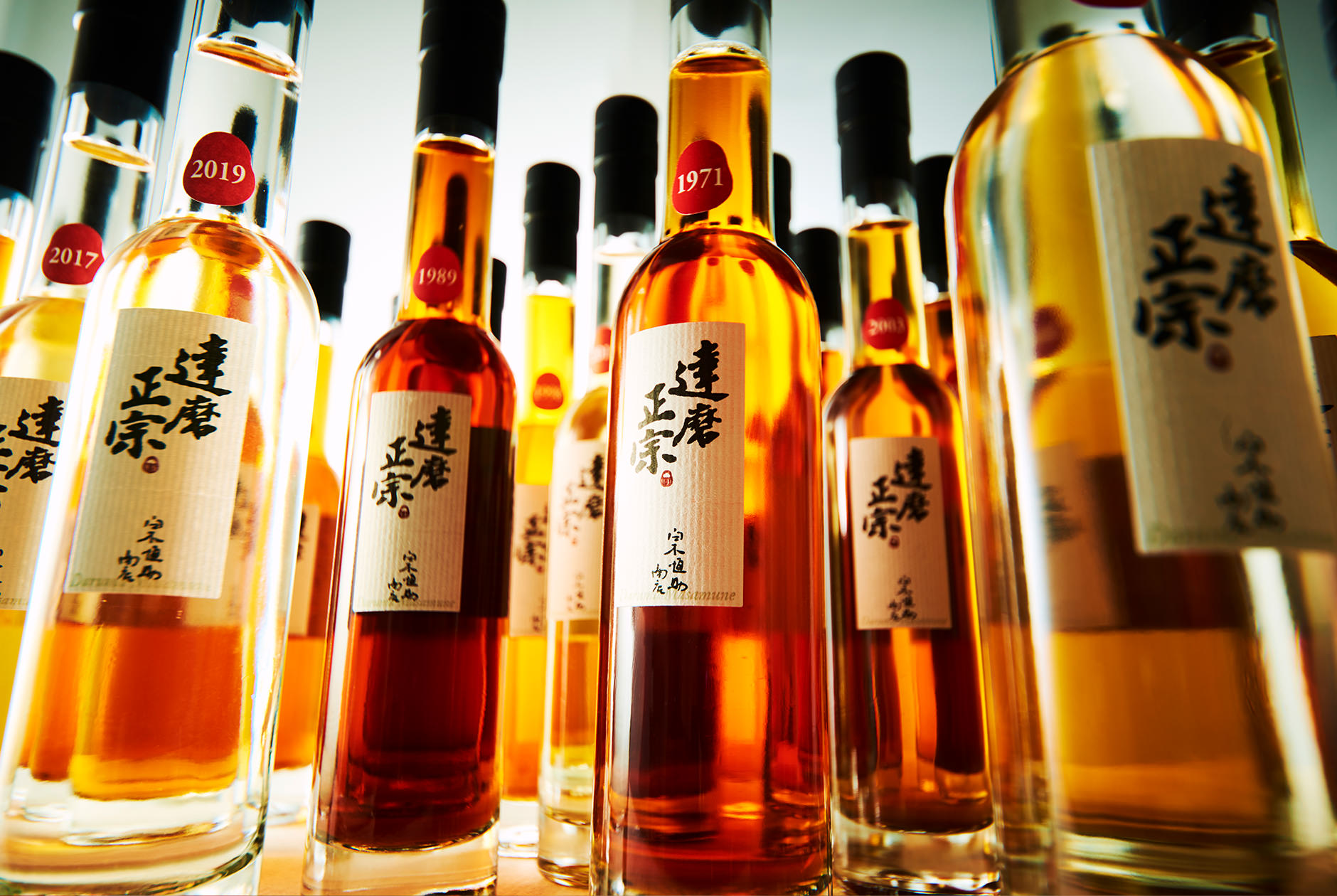 達磨正宗 時代 昭和～平成～令和 Vintage Collection | 【公式通販