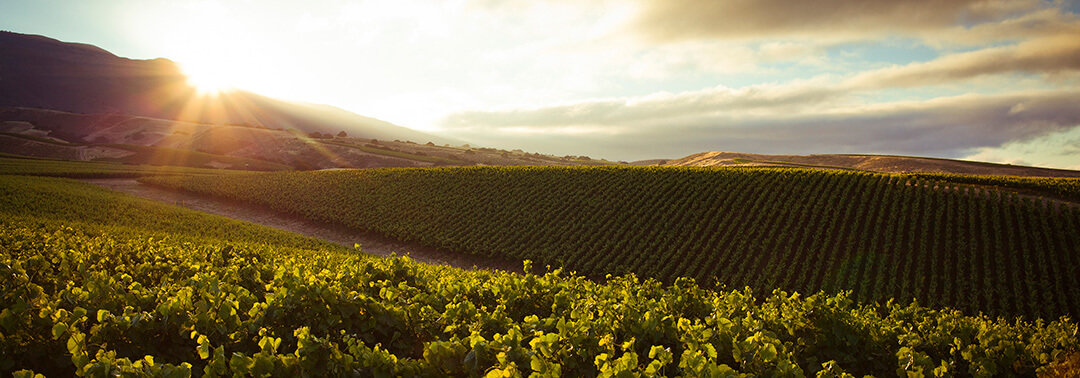 ラ・クレマ | 取扱ブランド | エノテカ株式会社 | コーポレートサイト