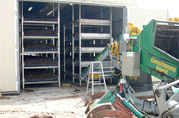 舟形マッシュルーム｜栽培工程