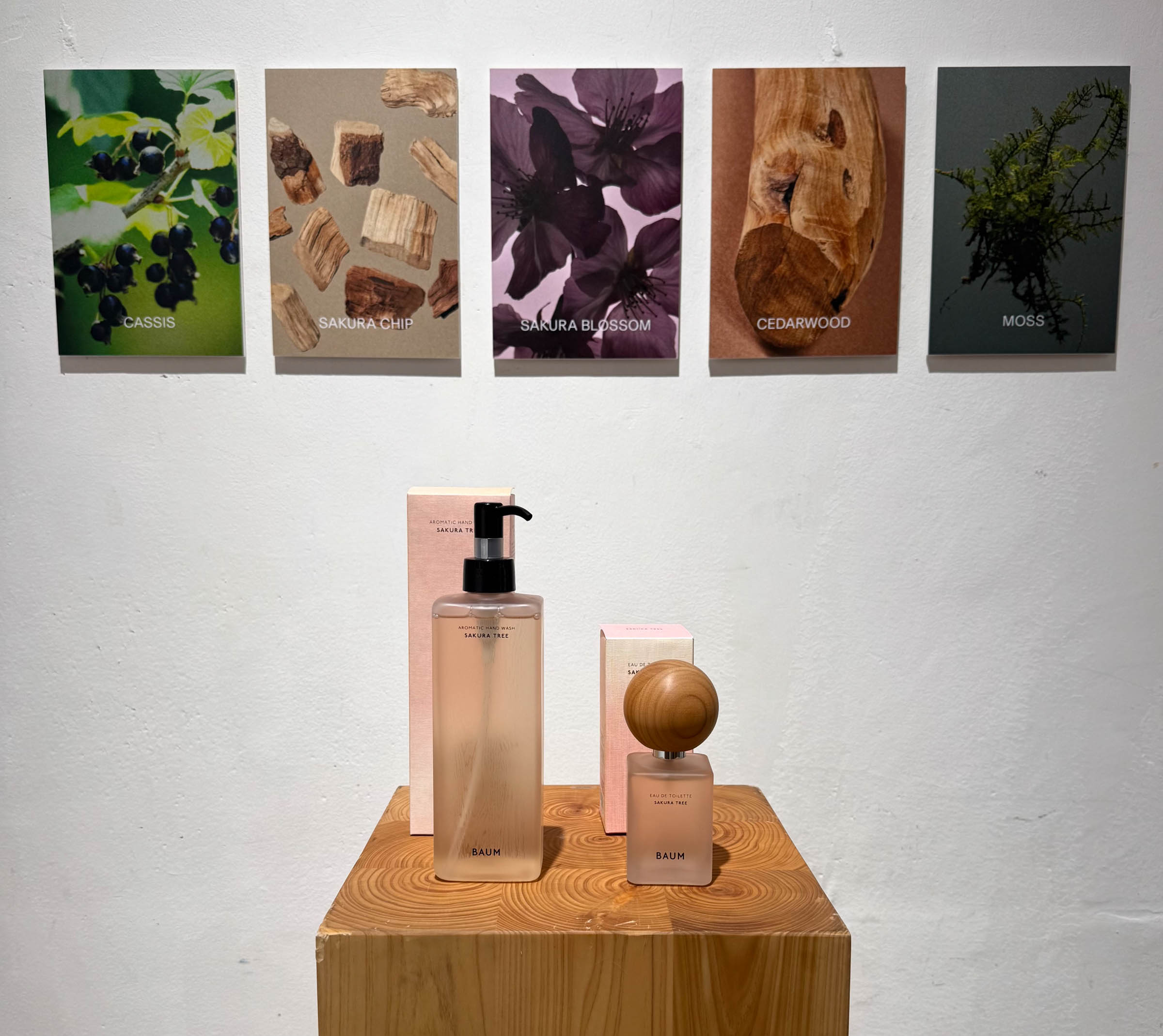 桜の蕾が花開く瞬間をフレグランスに バウムが「サクラツリー」の香り