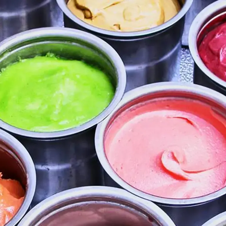 Ice Cream Maker: Pacojet Ice Cream Maker