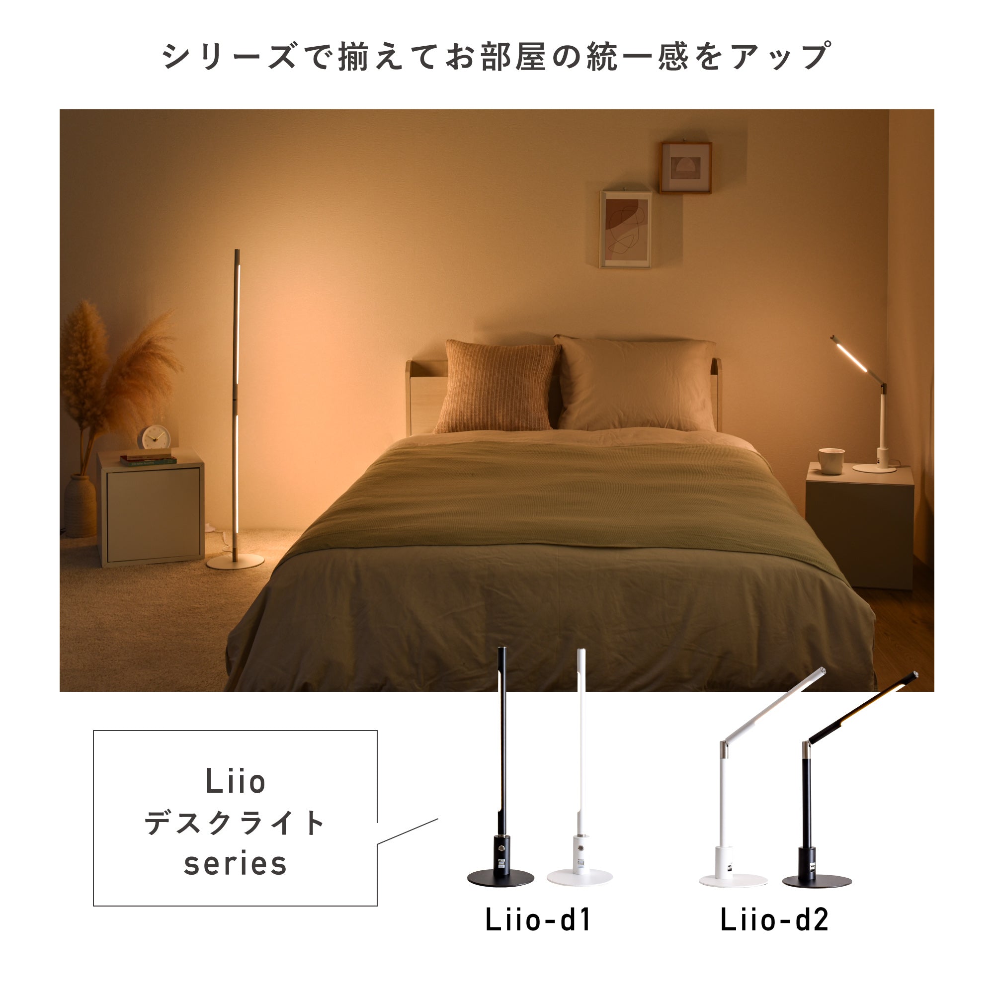 fll-liio-ct_ds11.jpg?v=