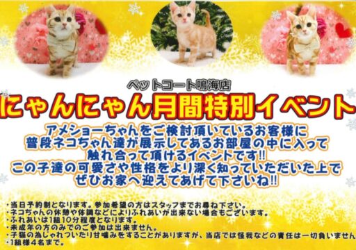 にゃん汰さま専用ページ にゃん汰さま専用ページ にゃん太(ΦωΦ)ニャ様