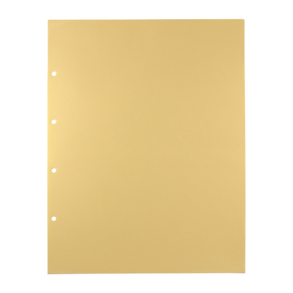 デラックス透明ポケット | ポケット | ファイルとテプラのキングジム