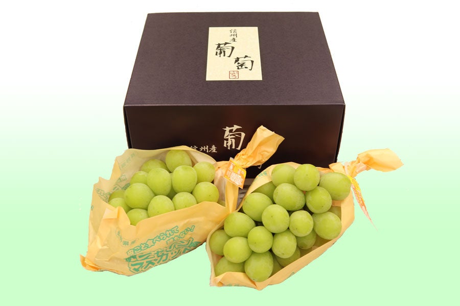 JA全農長野 冷蔵シャインマスカット 2房(約900g)【化粧箱】: 全農長野