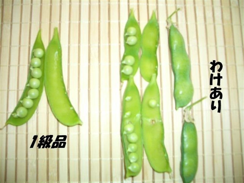 わけあり 紀州うすいえんどう豆 約4kg（紀の里）: ココ・カラ