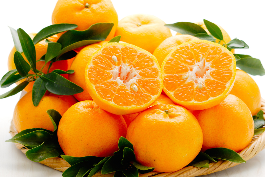 JA種子屋久 屋久島ぽんかん5kg: JA鹿児島県経済連 鹿児島の味