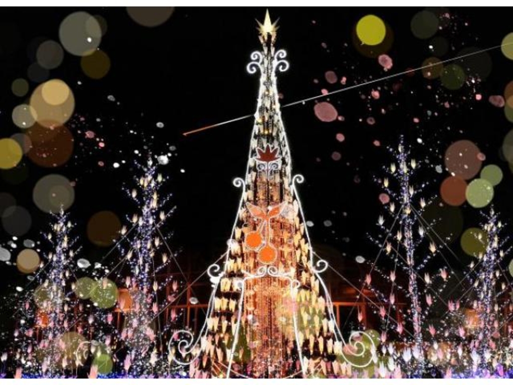 SAGAE Illumi Terrace2025】アクセス・イベント情報 - じゃらんnet